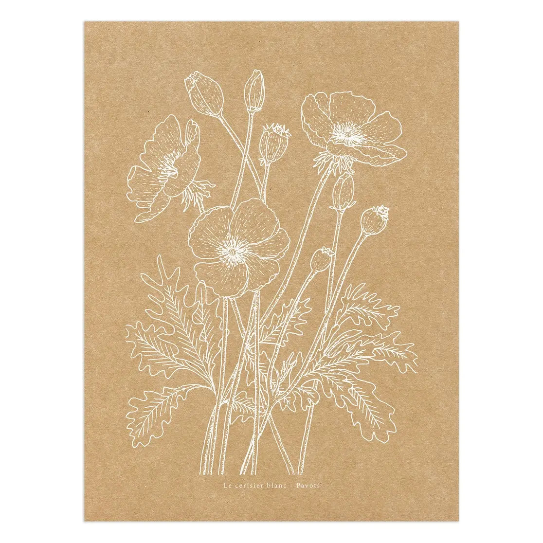 Affiche Kraft "Pavots" Le cerisier blanc