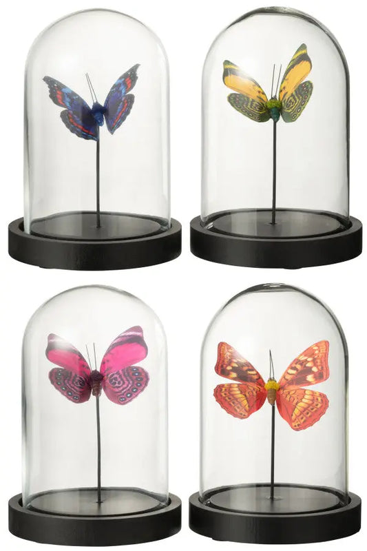 Cloche en verre avec papillon J-L