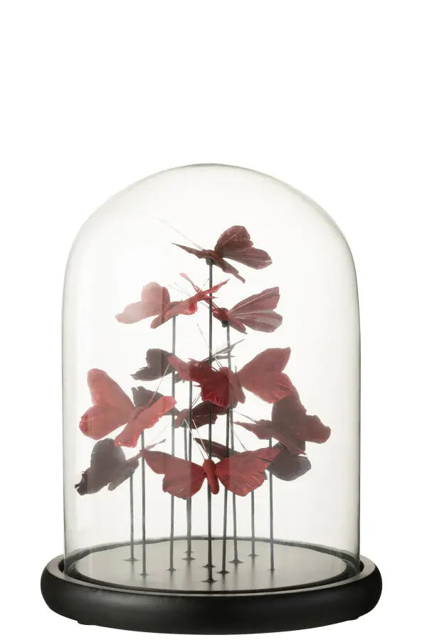 Cloche en verre papillons J-L
