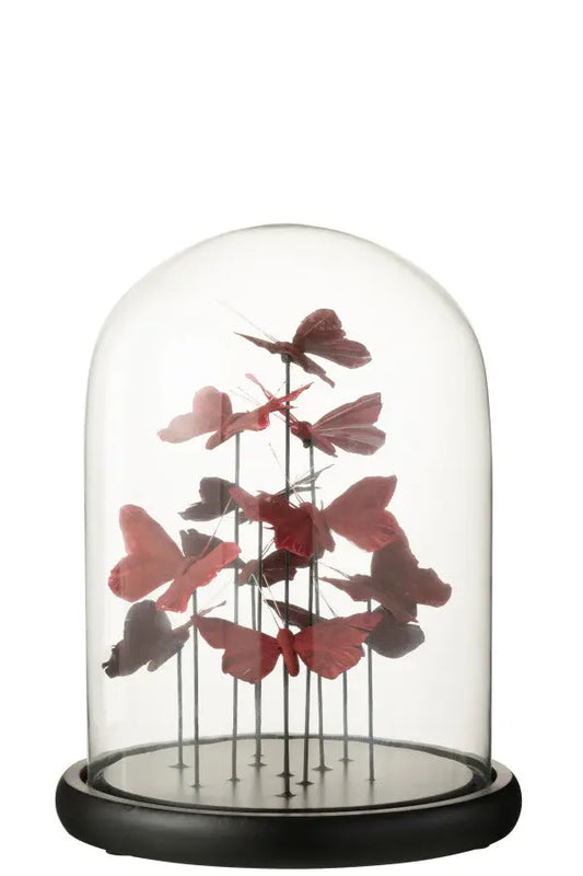 Cloche en verre papillons J-L