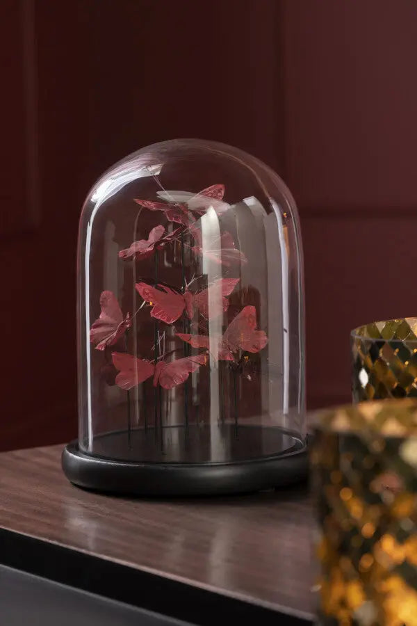 Cloche en verre papillons J-L