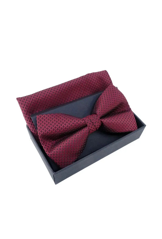 Nœud papillon pour homme avec mouchoir/pochette emballé en boîte JCL (CEINTURES ET MOI)