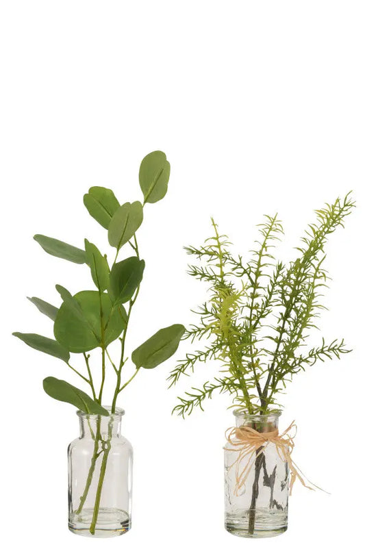 Verre eucalyptus ou branchage J-L
